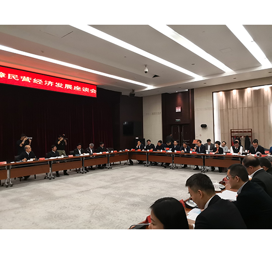 全國人大代表、方大集團董事長熊建明參加檢察機關(guān)服務(wù)保障民營經(jīng)濟發(fā)展調(diào)研座談會