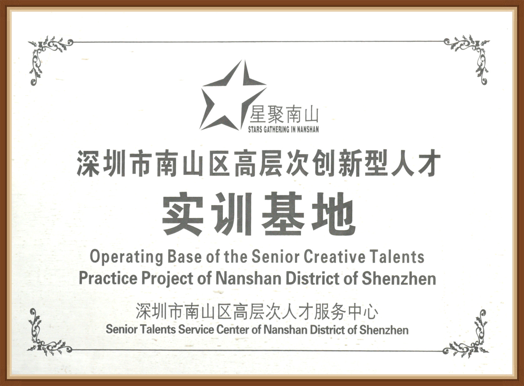 2010.08.13.深圳市南山區(qū)高層次創(chuàng)新型人才實訓基地牌匾